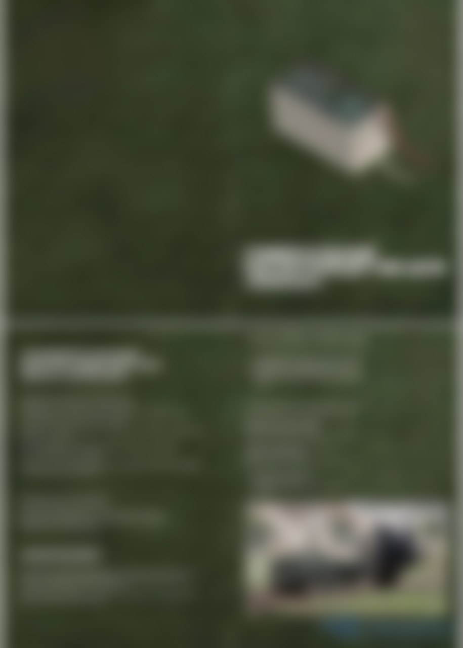 Magnetic sensor "Ilusha"