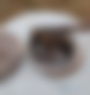 The incendiary warhead of the Geran-2 UAV