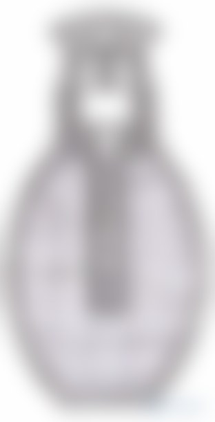 Fragmentation handgrenade m52 P1