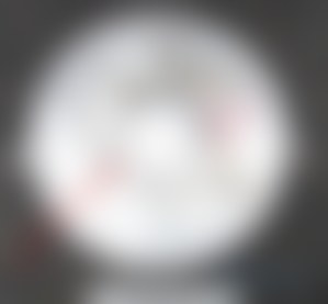 The incendiary warhead of the Geran-2 UAV