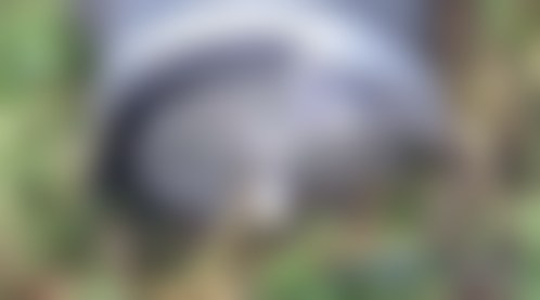 The incendiary warhead of the Geran-2 UAV