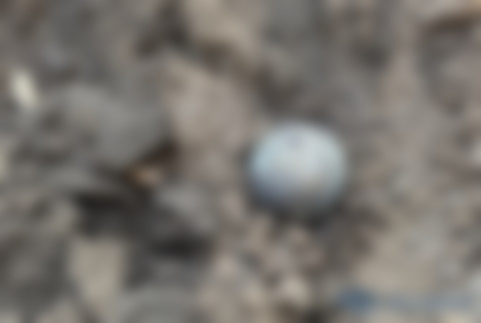 Submunition Kh-59