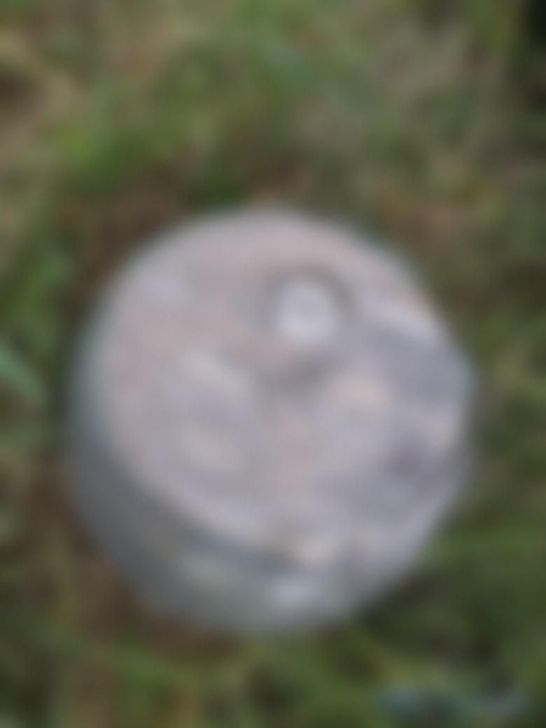 Submunition Kh-101