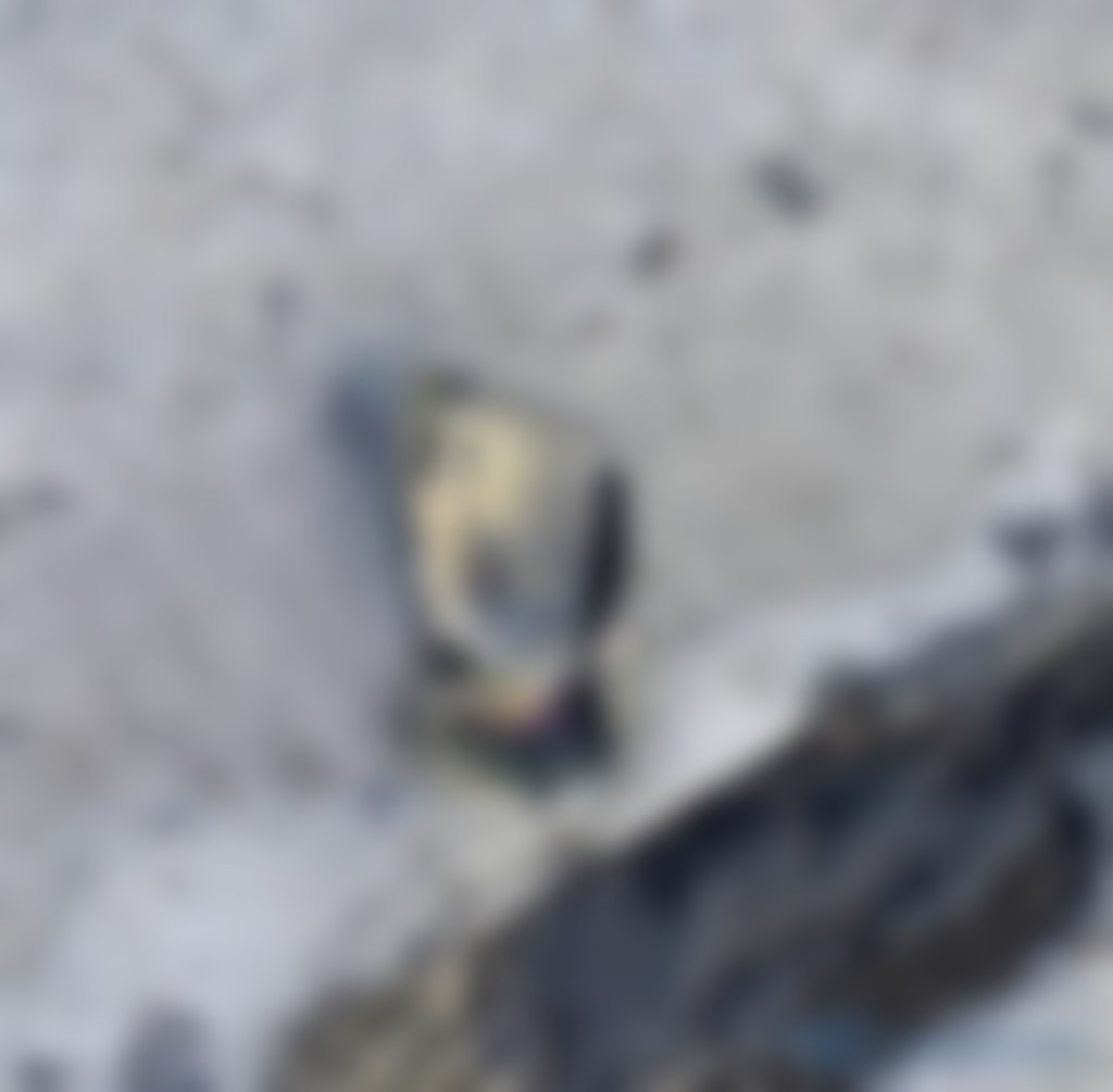 M74
