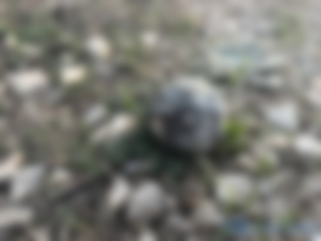 M74