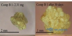 COMPOSITION B AND B-2